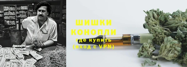 ПСИЛОЦИБИНОВЫЕ ГРИБЫ Покров