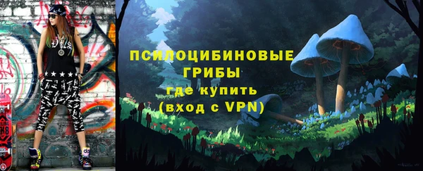скорость Абаза